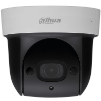 IP-камера Dahua DH-SD29204T-GN